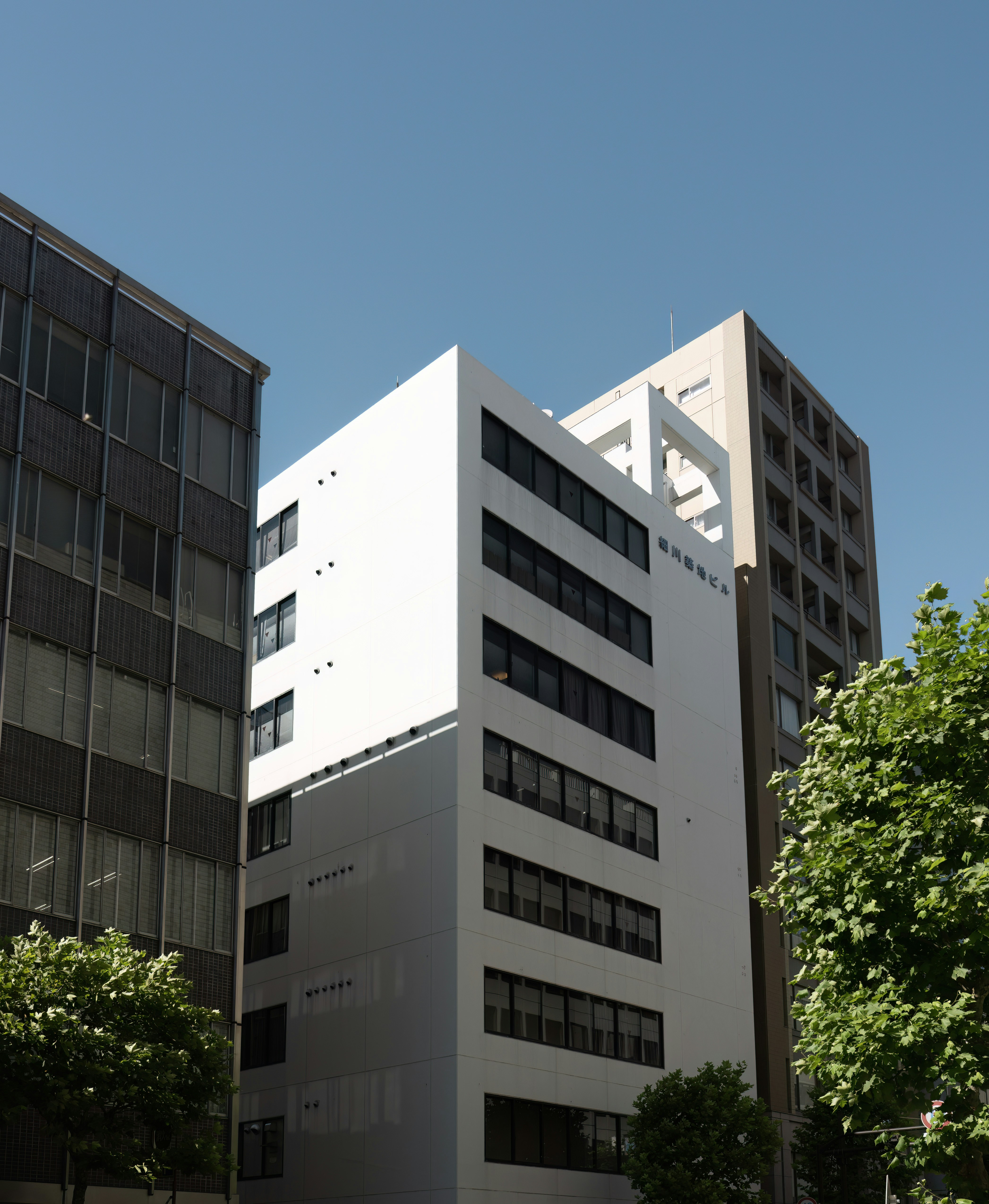 Photo by juniperphoton