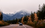 A winding mountain road framed by autumn-colored trees, inviting exploration.