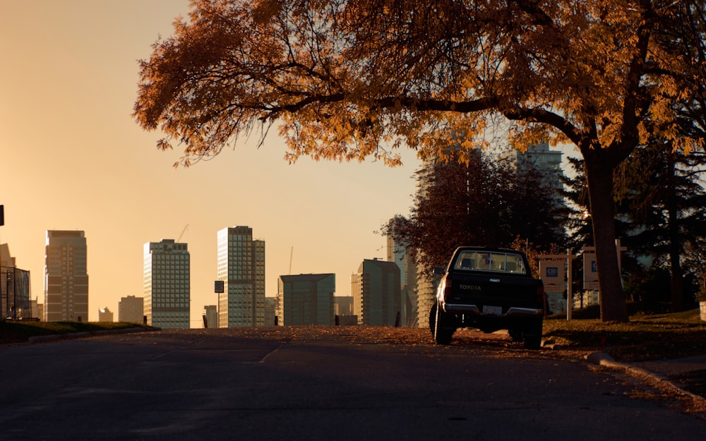 a car parked on the side of the road near a tree