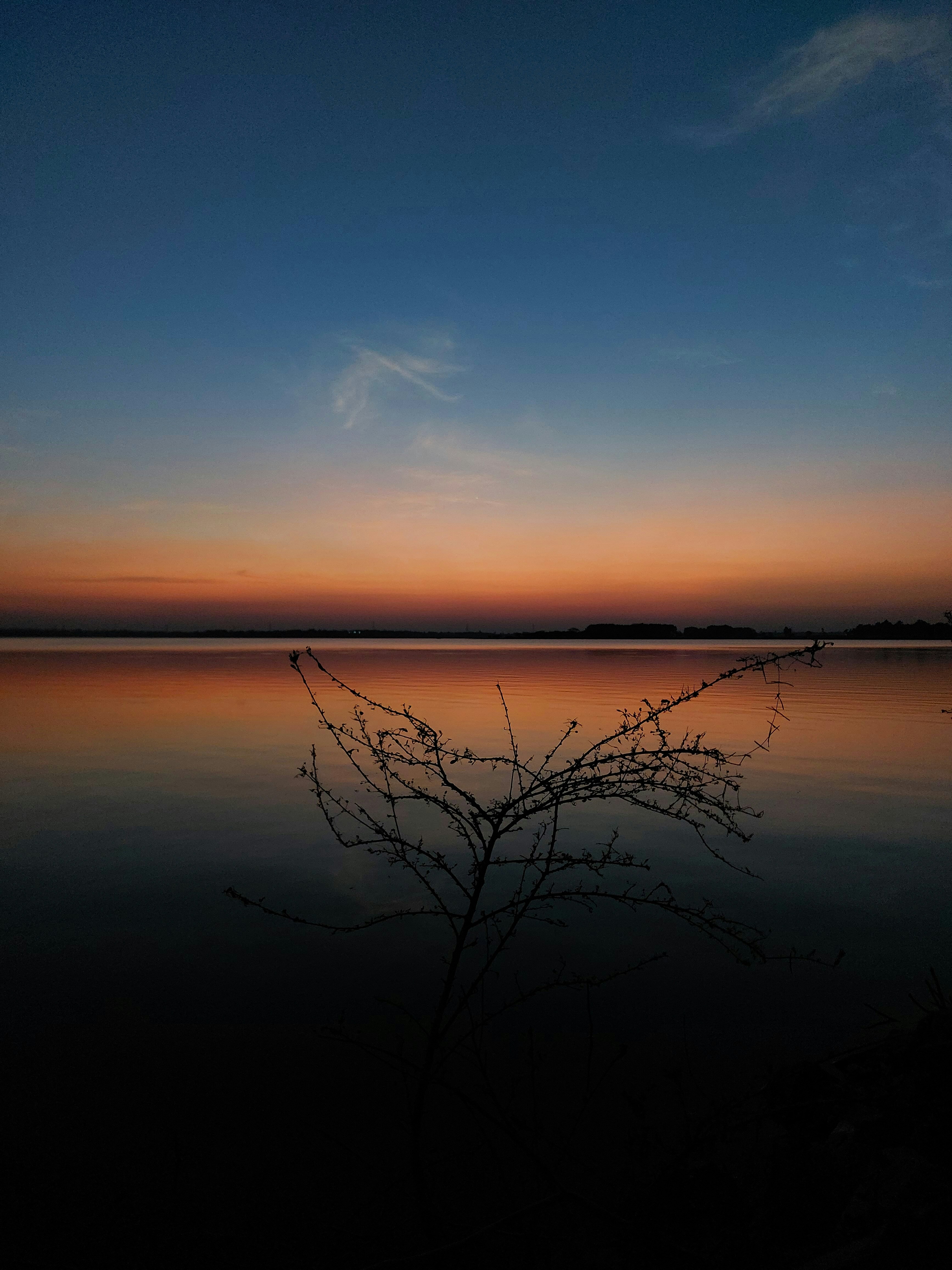 Photo by adityasetty