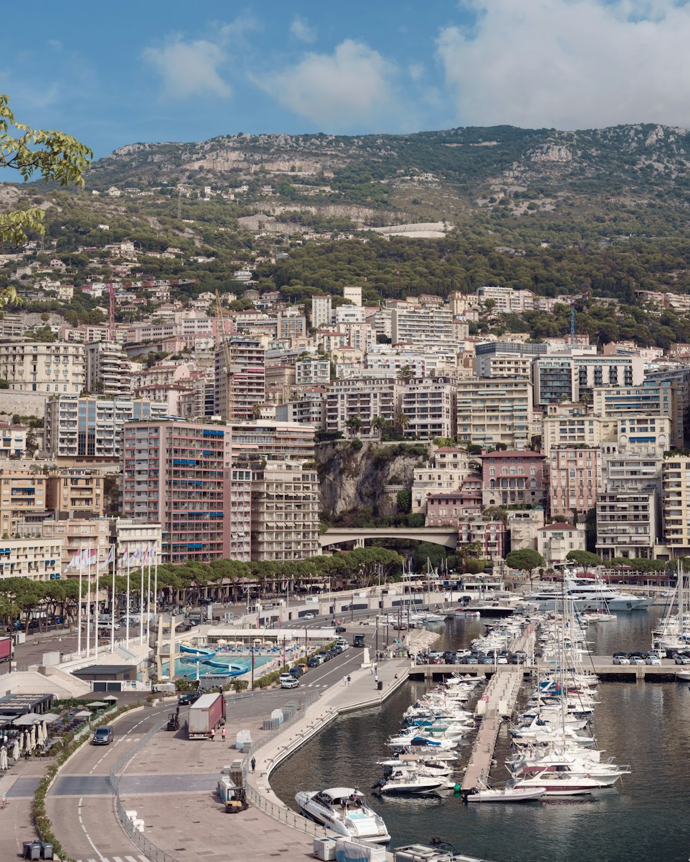 a marina with many boats in it and a city in the background