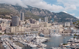 a harbor filled with lots of boats next to tall buildings