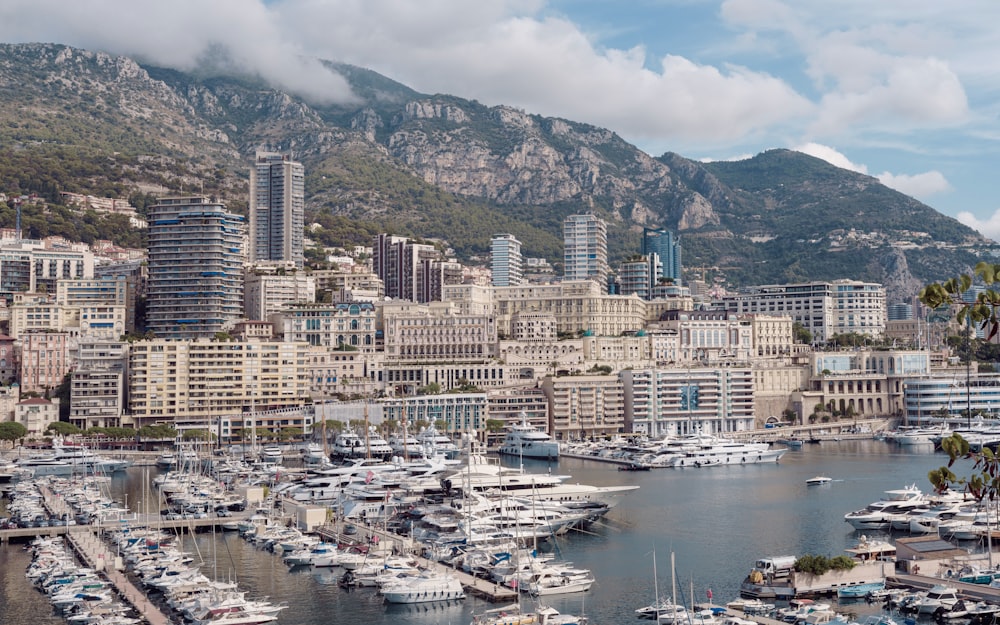 a harbor filled with lots of boats next to tall buildings