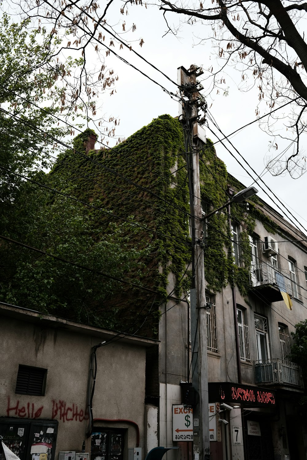 a tall building covered in vines next to a tree
