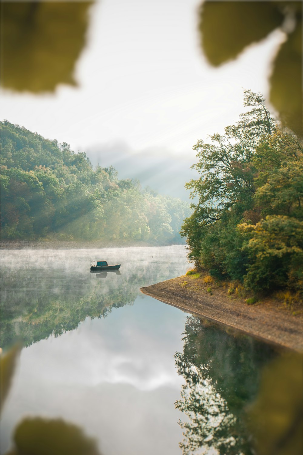 a boat floating on top of a lake next to a forest