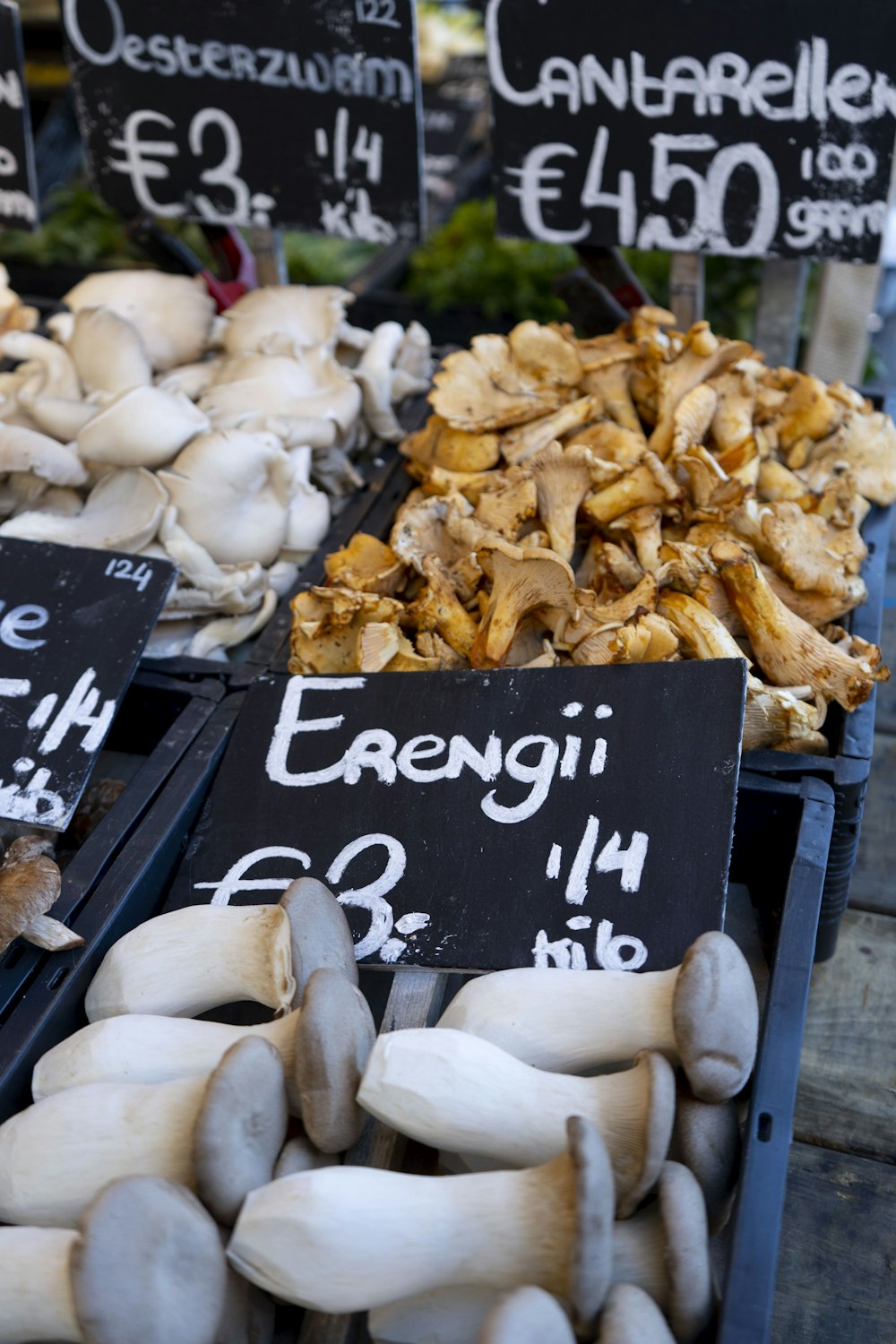 um monte de diferentes tipos de cogumelos para venda