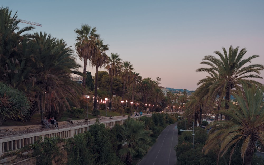 a street lined with palm trees at dusk
