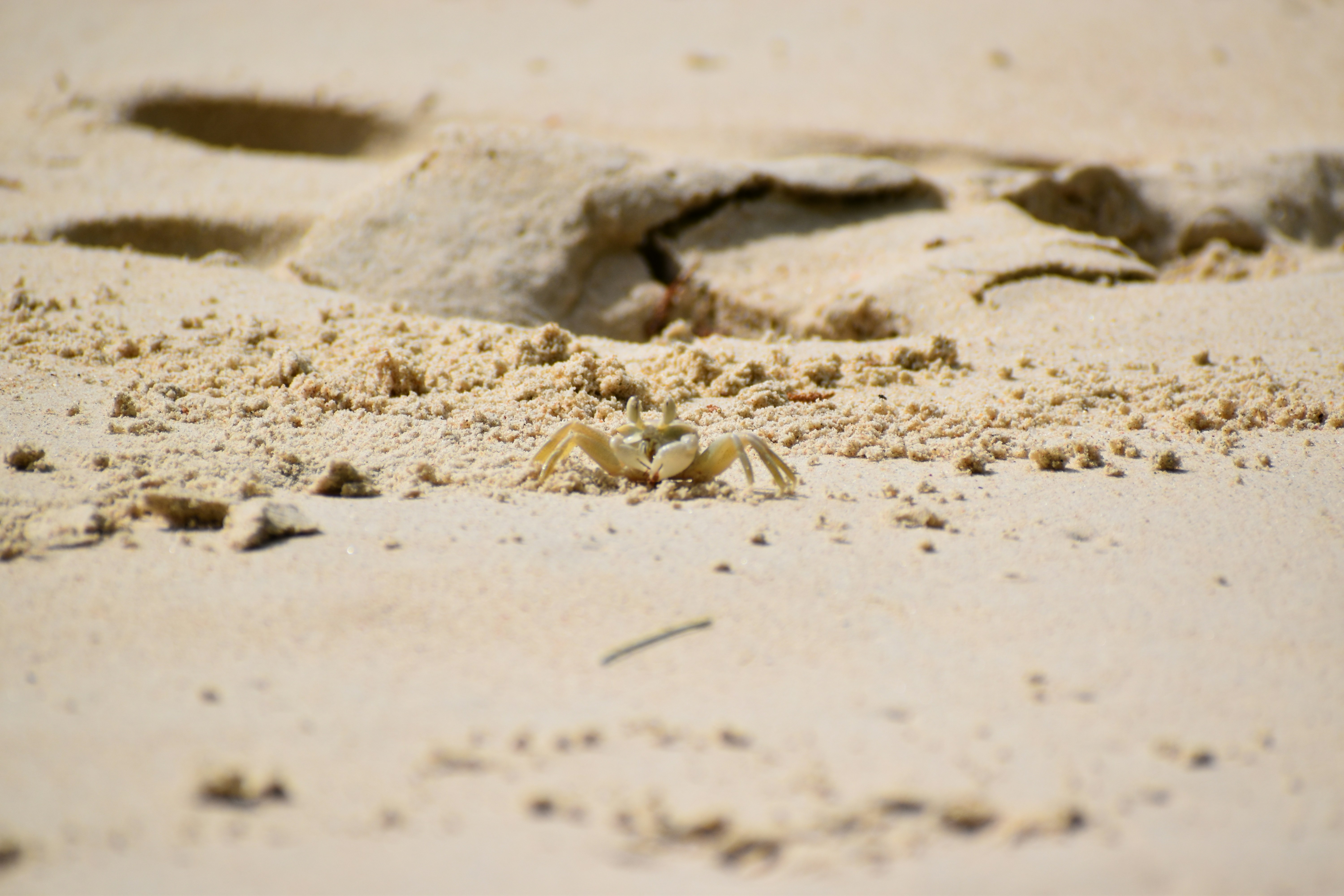 Photo by snuskeerlend