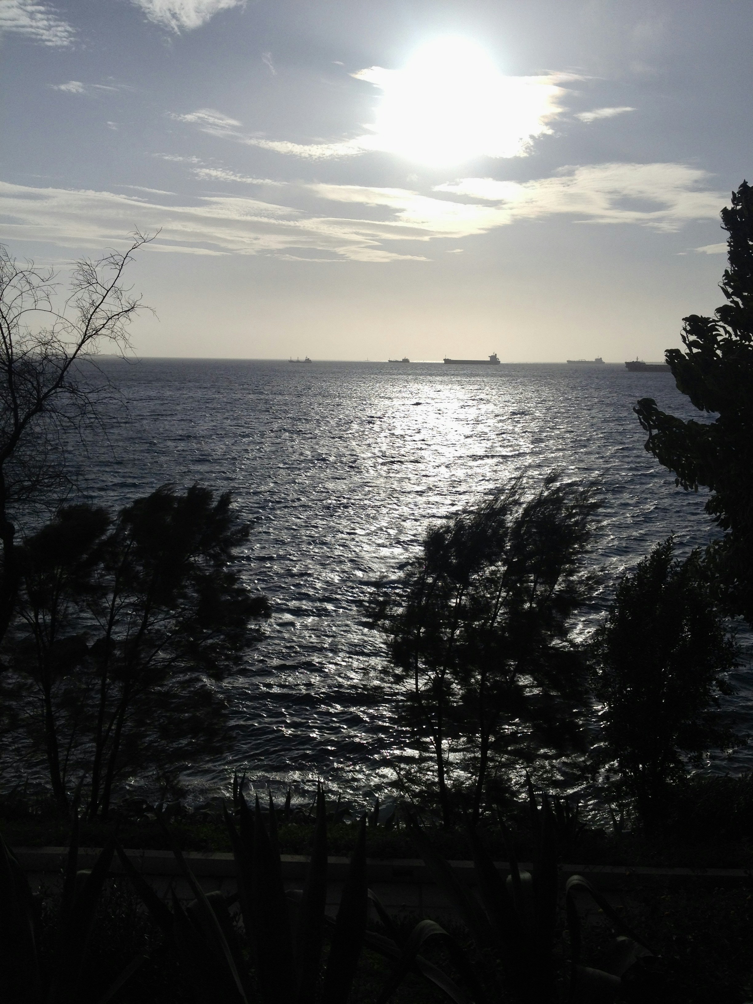 Photo by stitcho