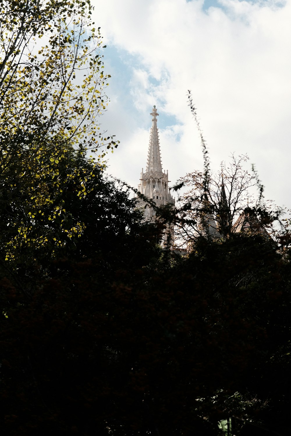 the spire of a church is seen through the trees