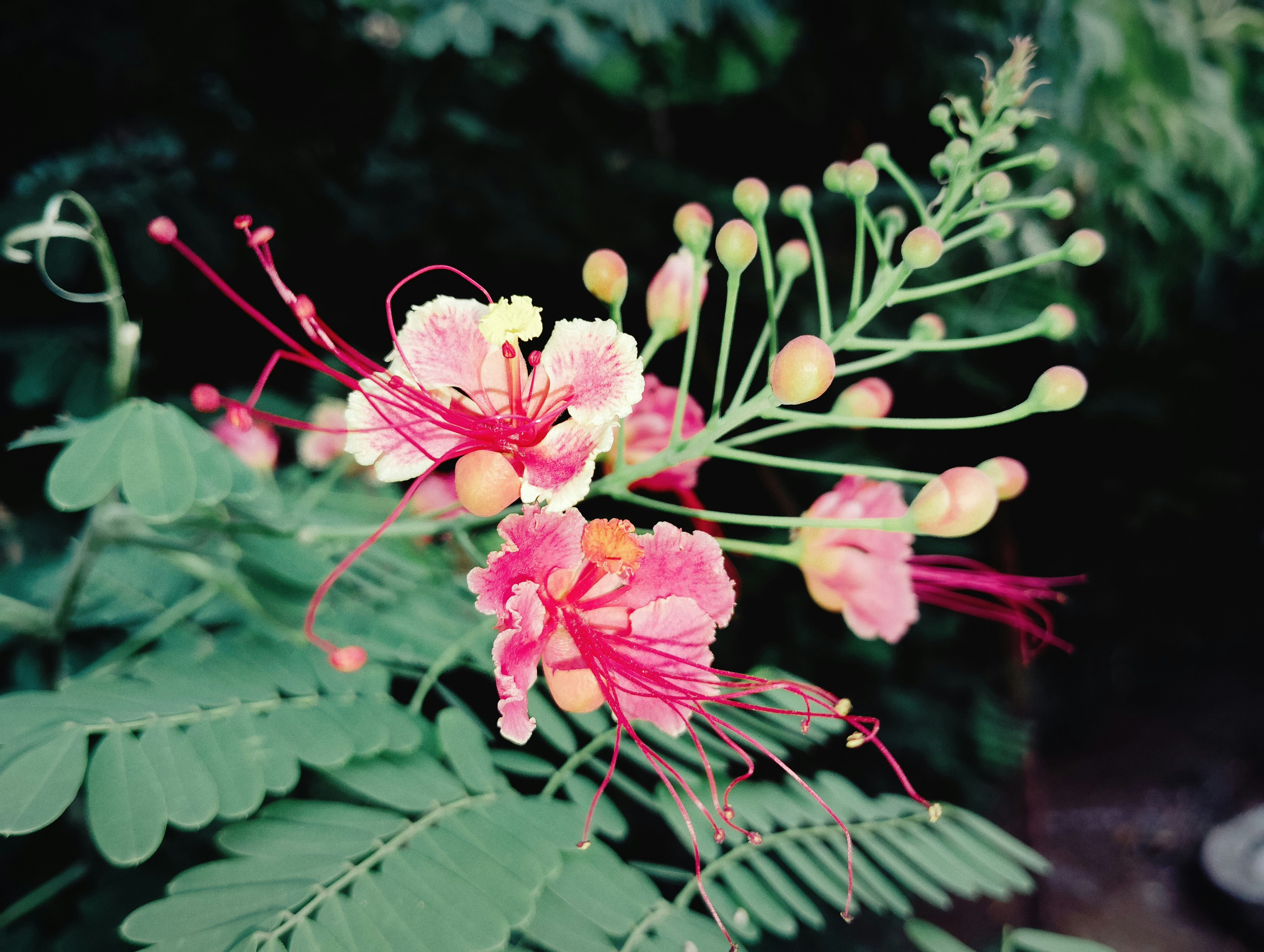 Photo by manka2001