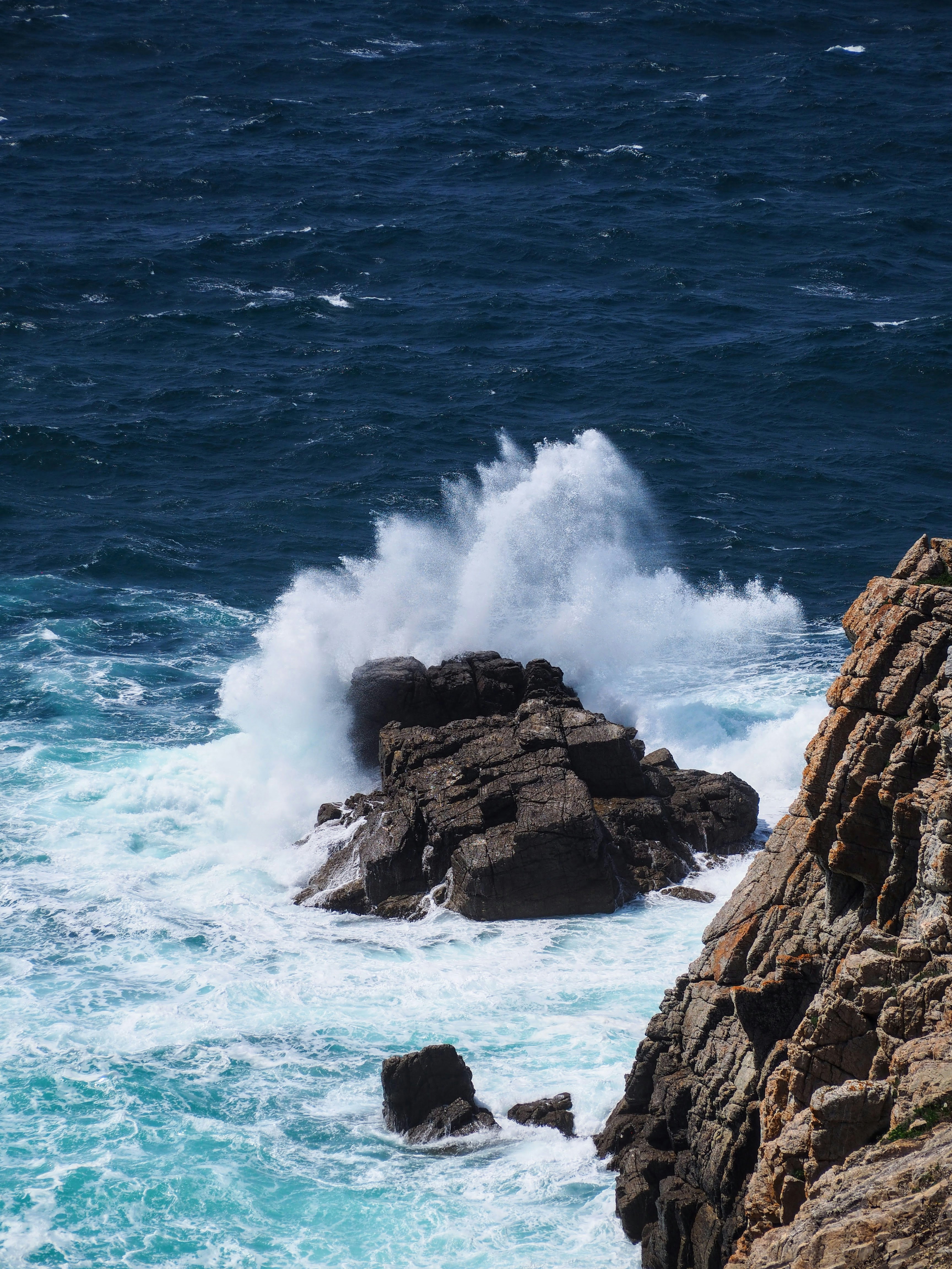 Photo by benji_da_vinci