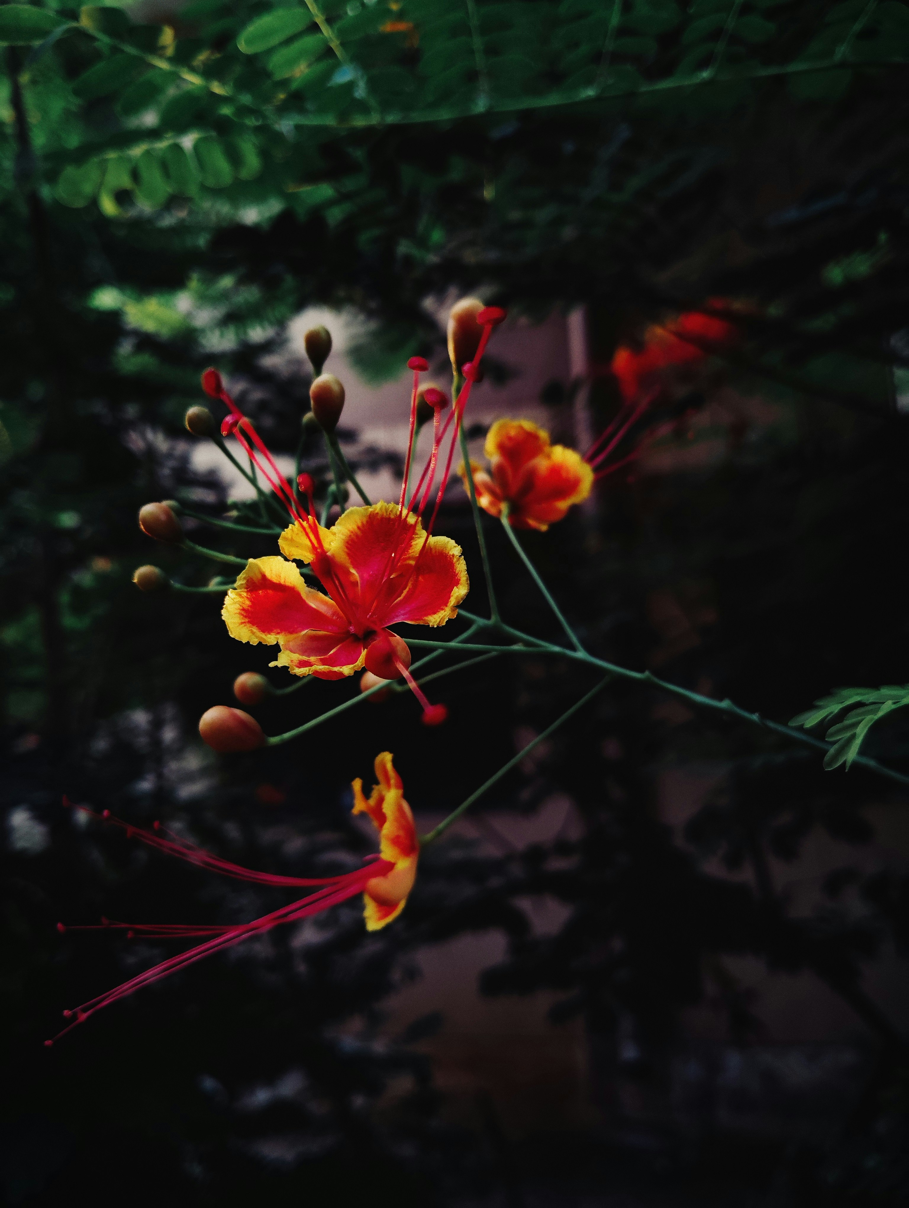 Photo by manka2001