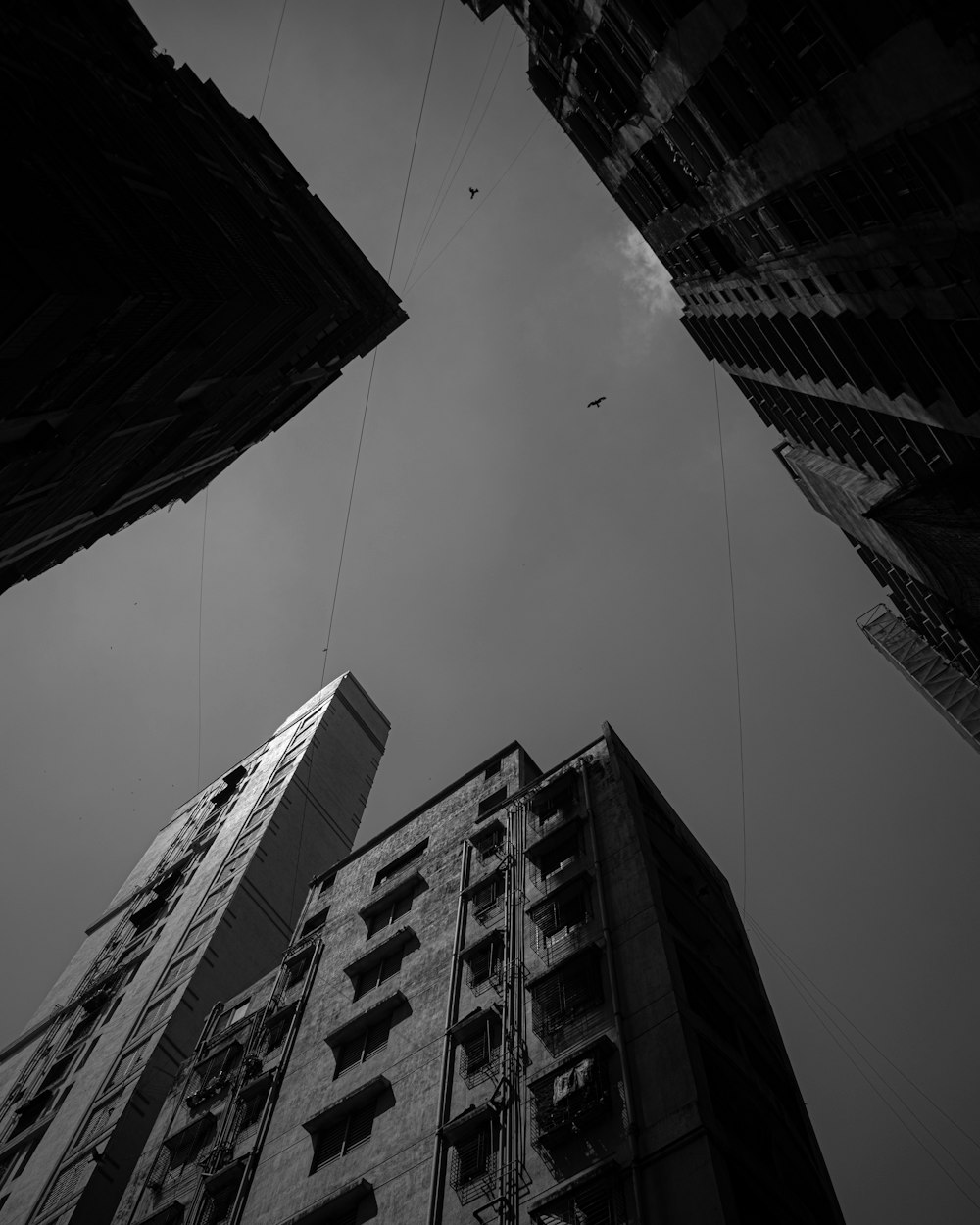 a black and white photo of tall buildings