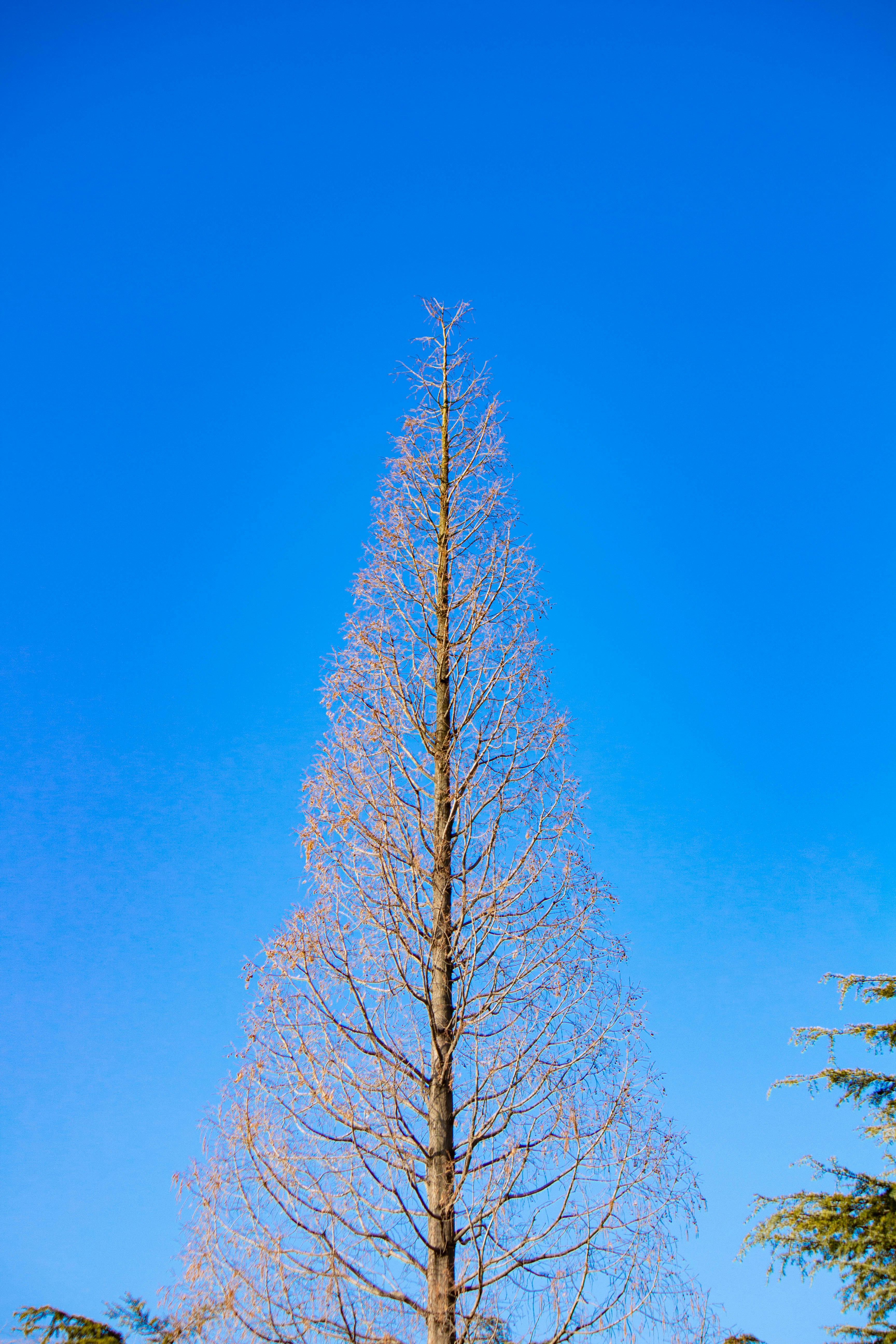 Photo by anthonywu0709