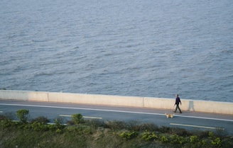 A peaceful morning scene with a person and their dog enjoying a walk.