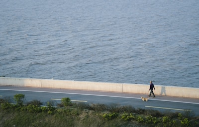 An outdoor scene of a dog and owner enjoying a walk together.