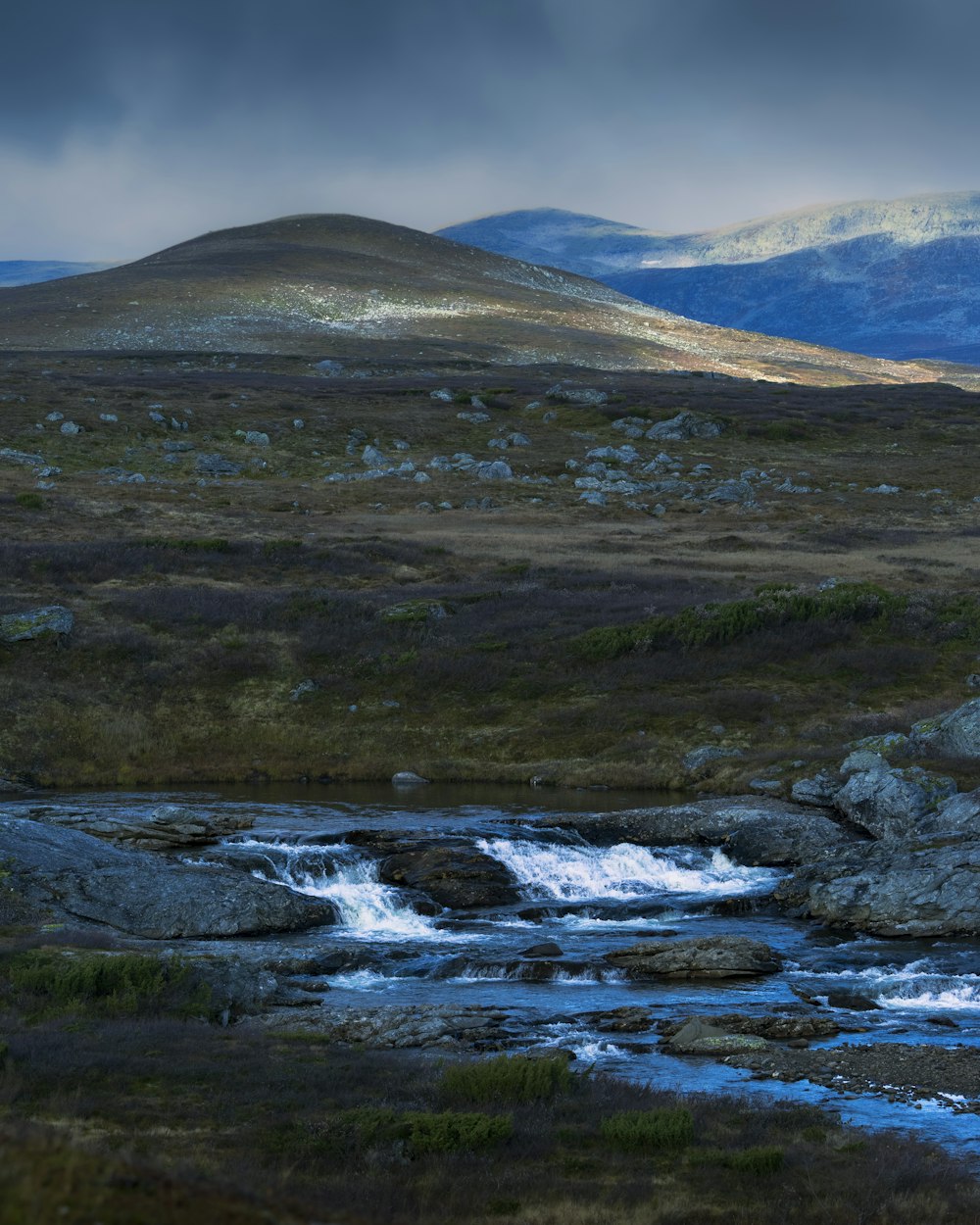 a stream running through a lush green field