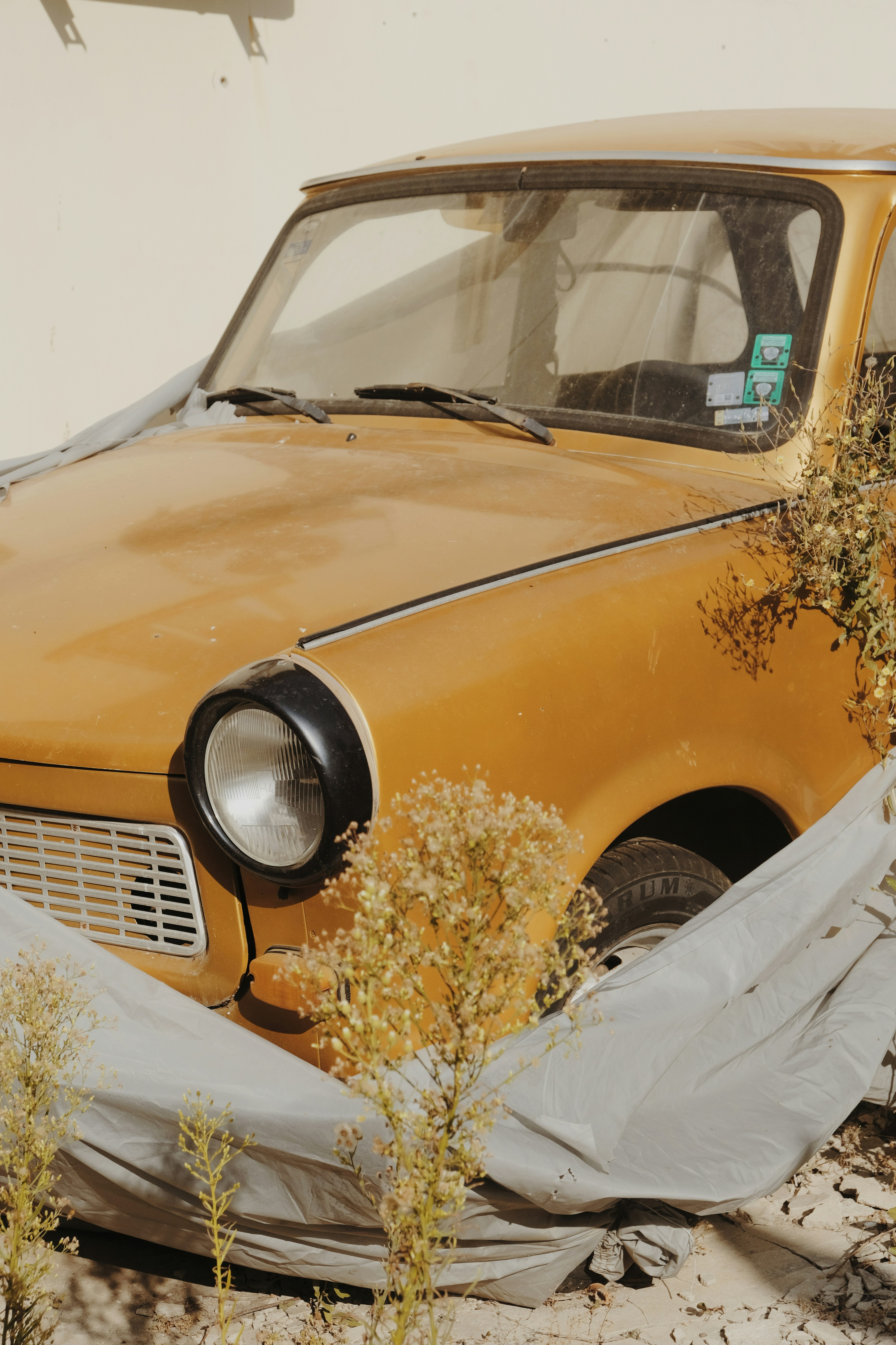 Photo by kodaky_lover