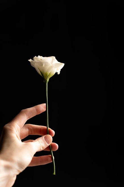A close-up of a woman’s hand delicately holding a red rose against a dark background.