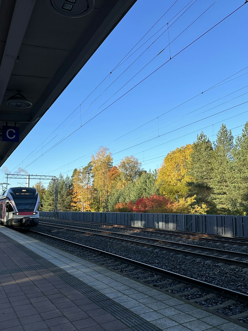 a train traveling down train tracks next to a forest