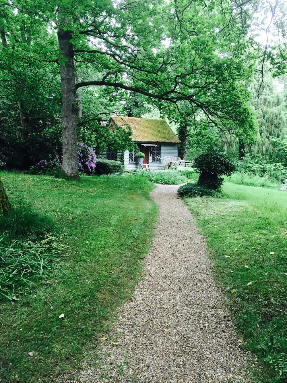 a path leading to a small house in the woods