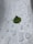 a green leaf sitting on top of a puddle of water