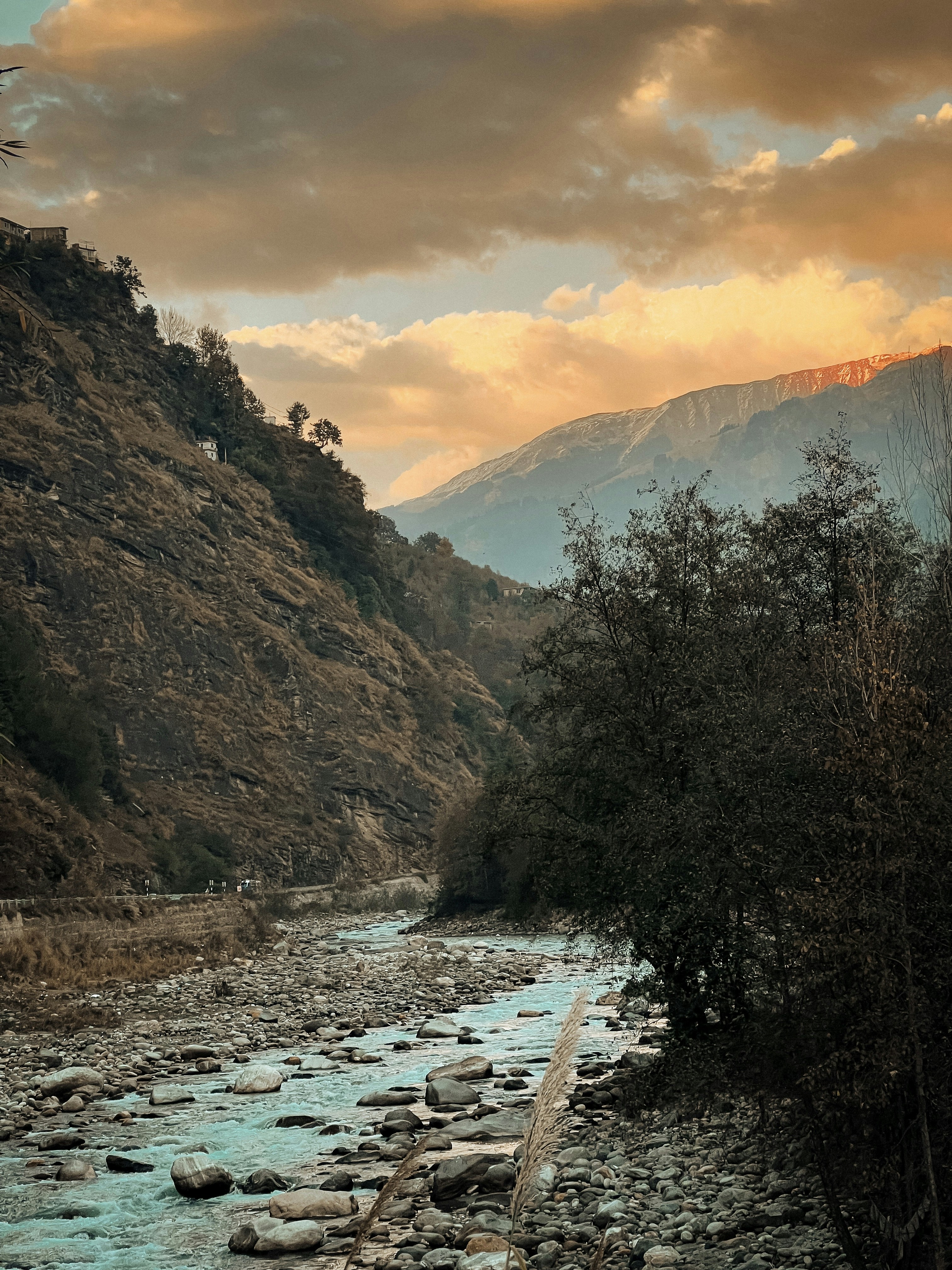 Photo by priyansharma