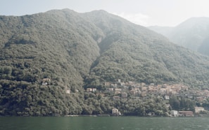 A picturesque local scenery showcasing the charm of the area.