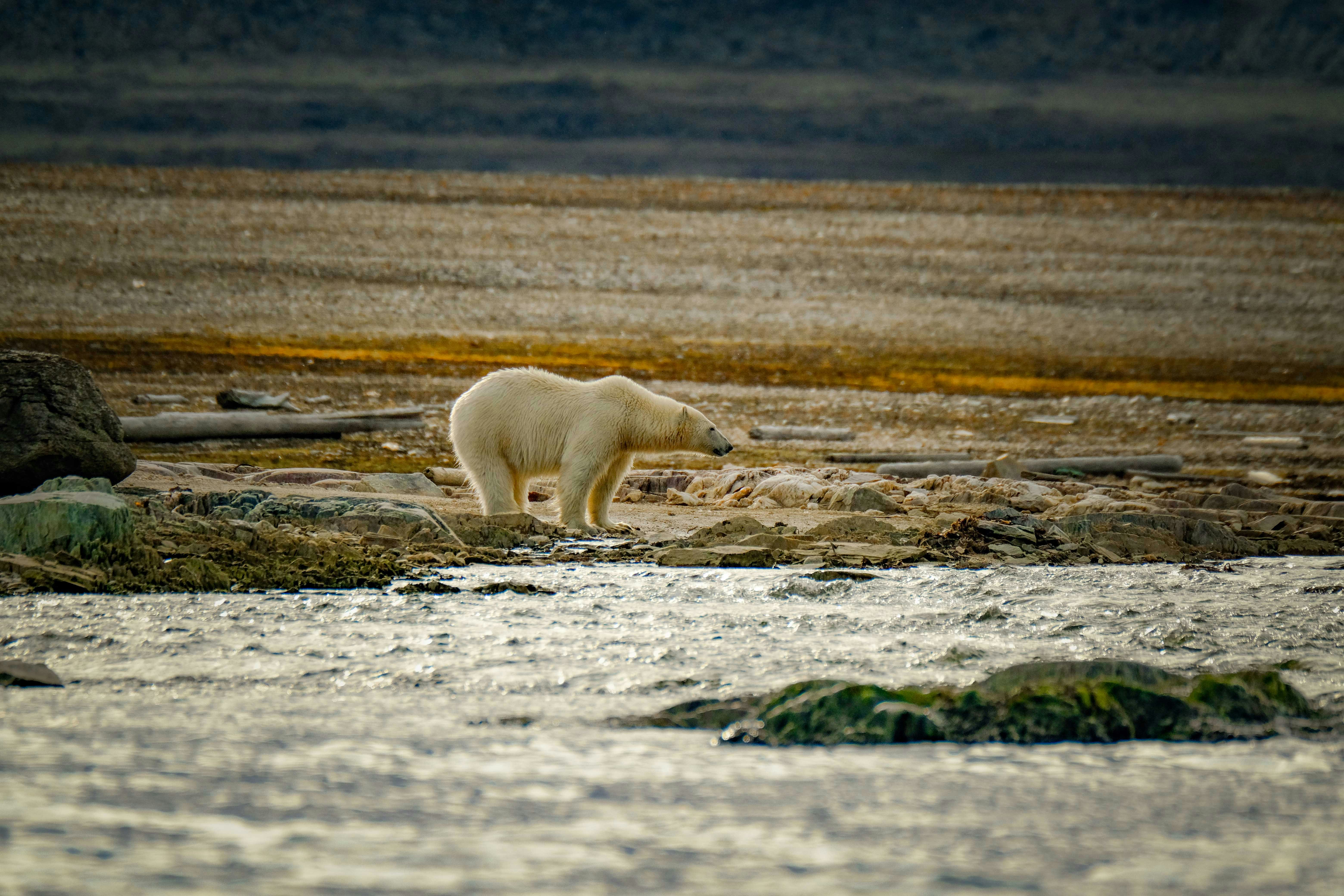 Photo by francesco_ungaro