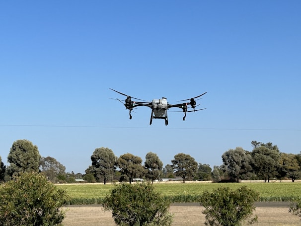 A drone flying low over lush Brazilian soybean fields under a clear blue sky.