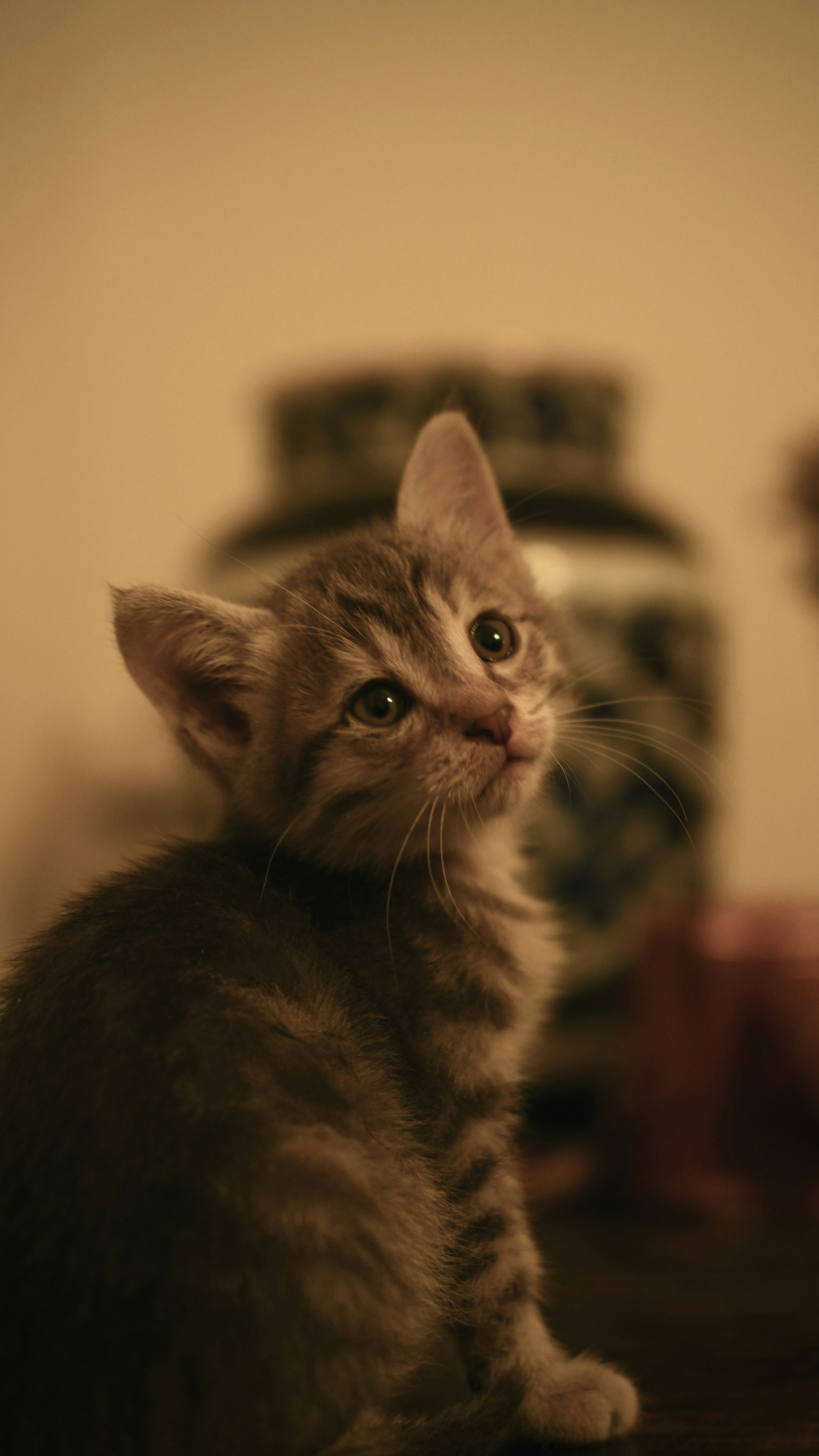 Photo by zamarinovat