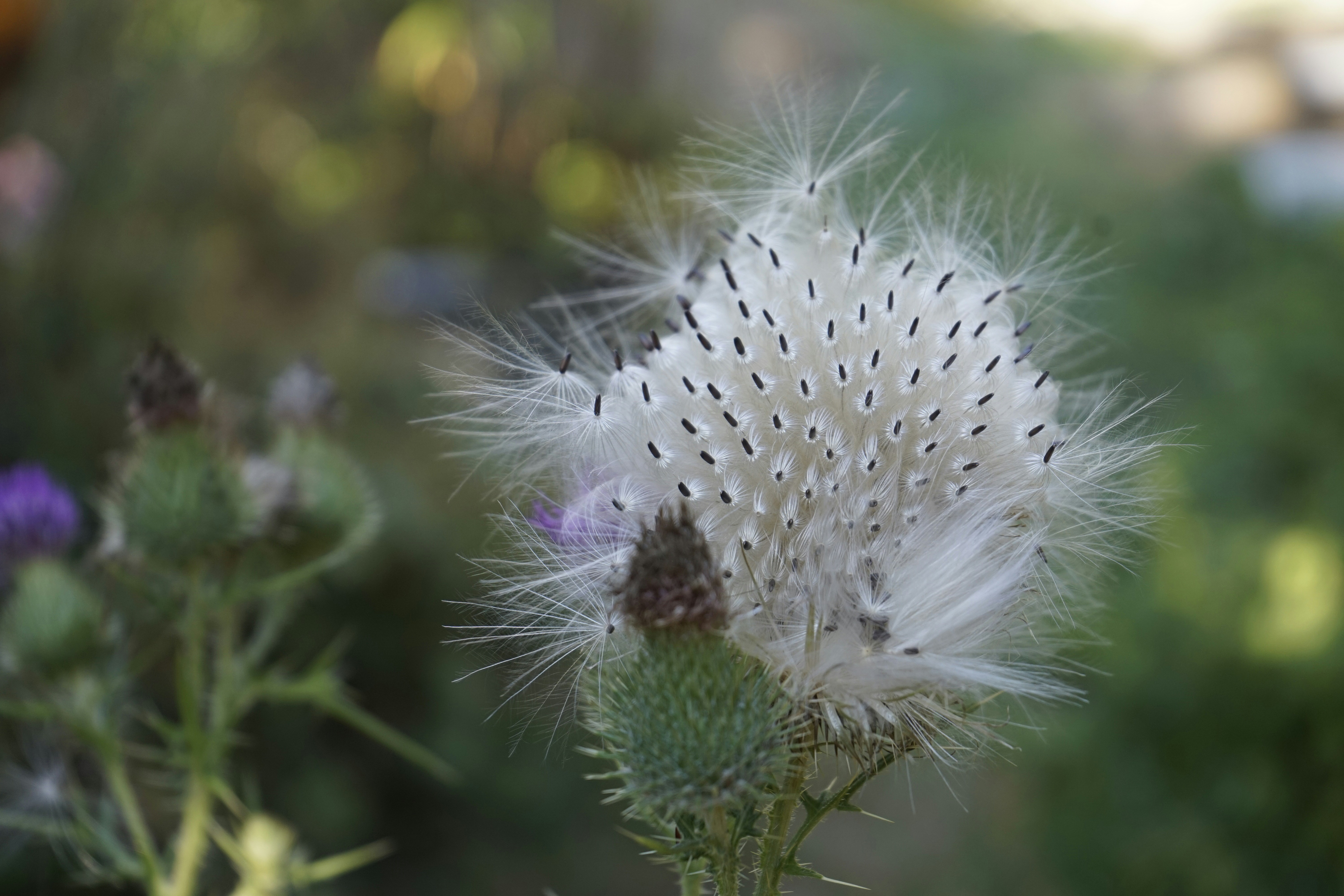 Photo by verydarkfader