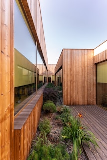 Wooden structures with large glass windows create a modern architectural design, enclosing a narrow garden space filled with various plants and shrubs. The sky is clear, adding to the openness of the design.