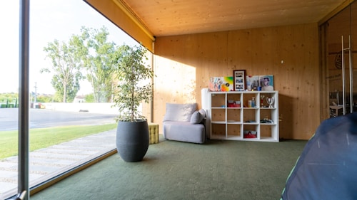 A modern interior space features a sunlit room with wooden walls and a green carpet. There is a large window providing a view of the outdoors, including trees and a driveway. Inside, a gray cushioned chair is placed next to a black plant pot with a green plant. A white shelving unit displays various items like trophies, books, and framed pictures.