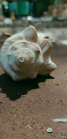 Close-up of a vibrant conch shell resting on white sand with gentle waves in the background