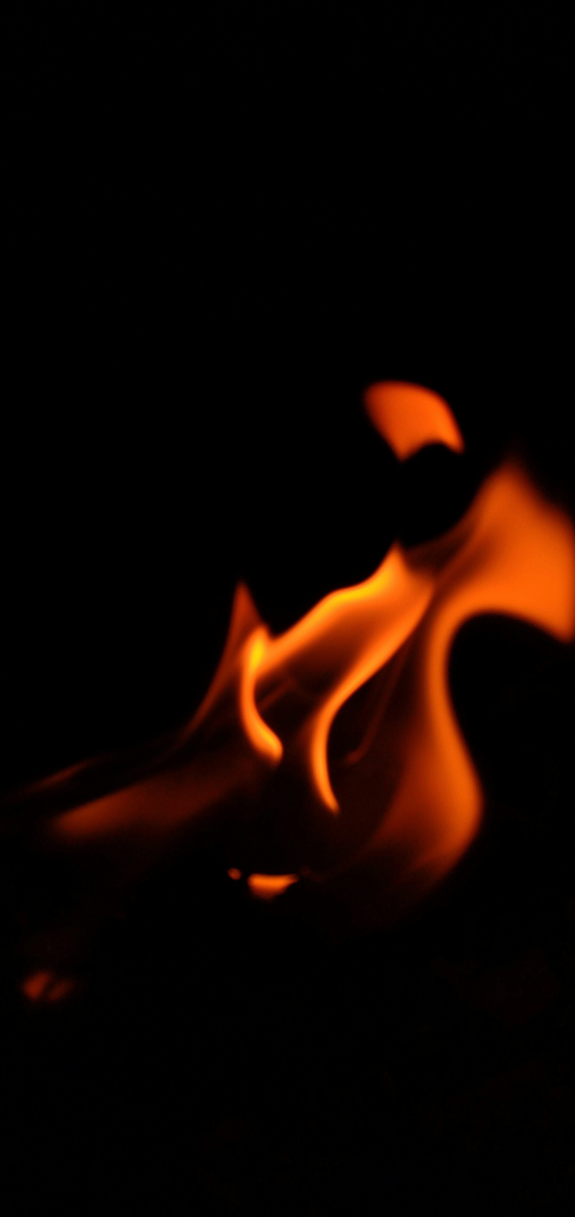 Photo by editographybykinjal