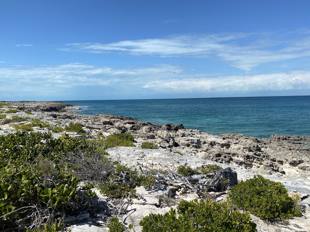 a view of the ocean from a rocky shore