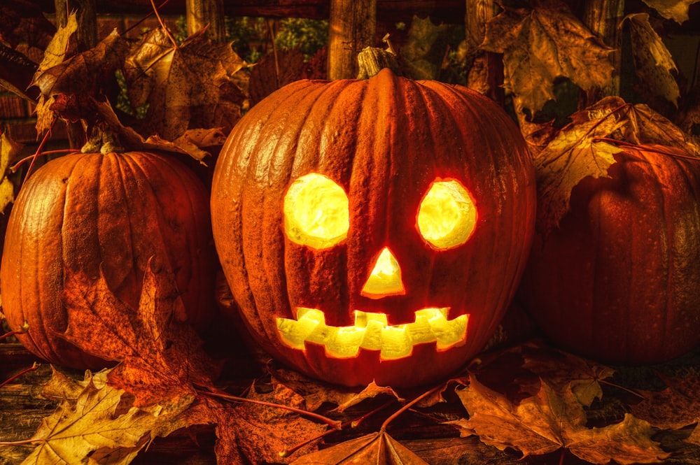 three carved pumpkins sitting on top of leaves