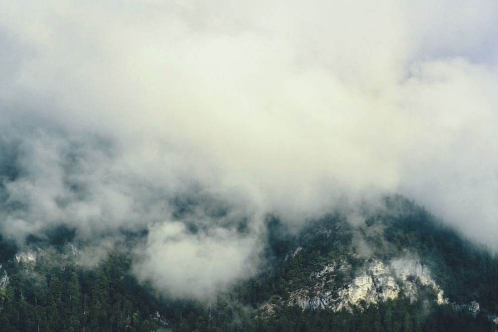 a mountain covered in clouds and trees