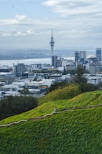 a view of a city from a hill