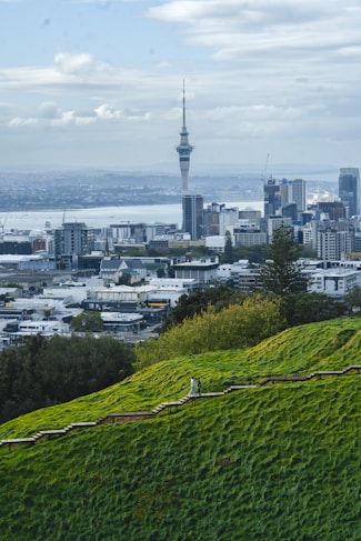 a view of a city from a hill
