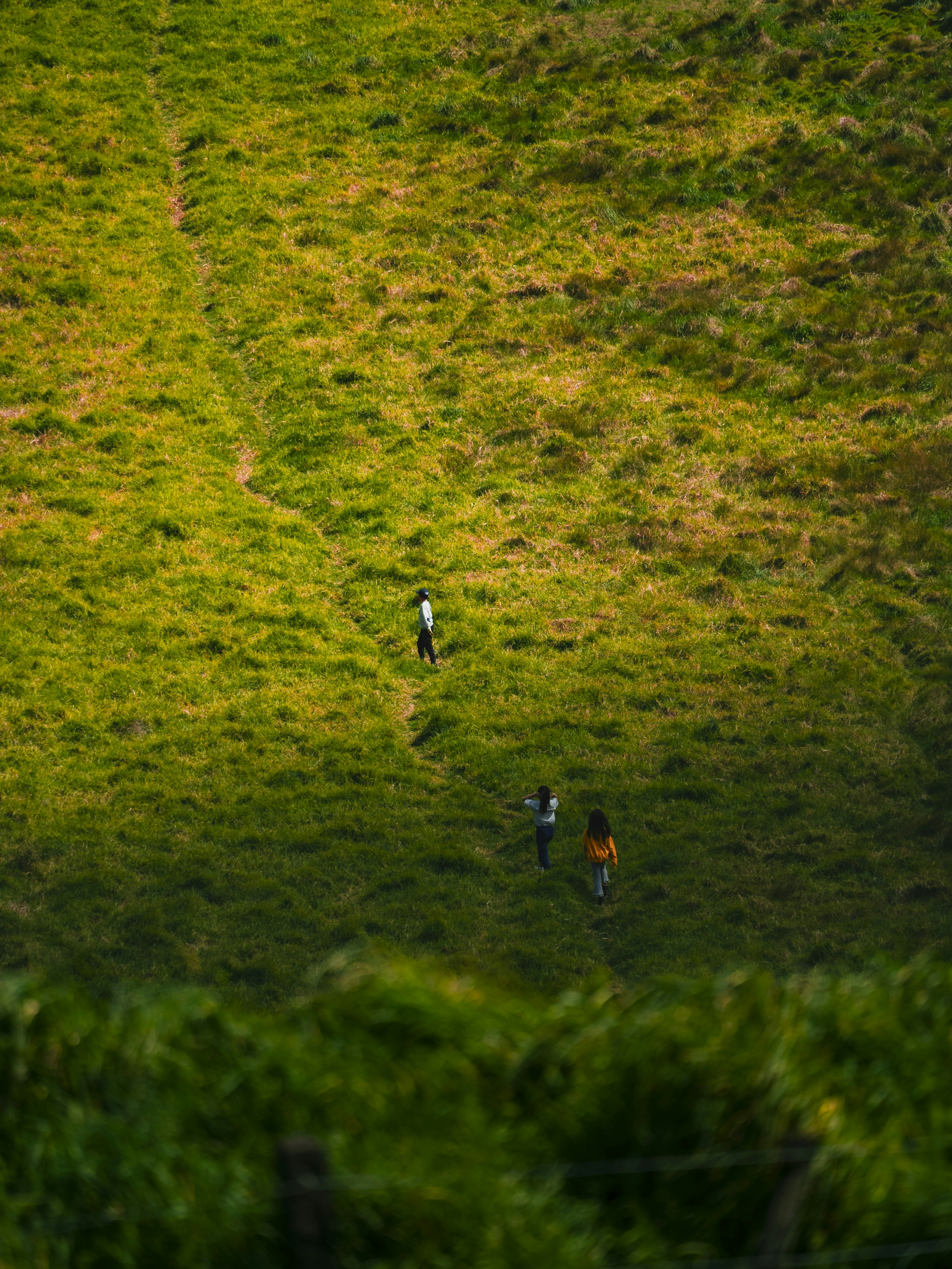 A couple of people walking across a lush green field photo – Free