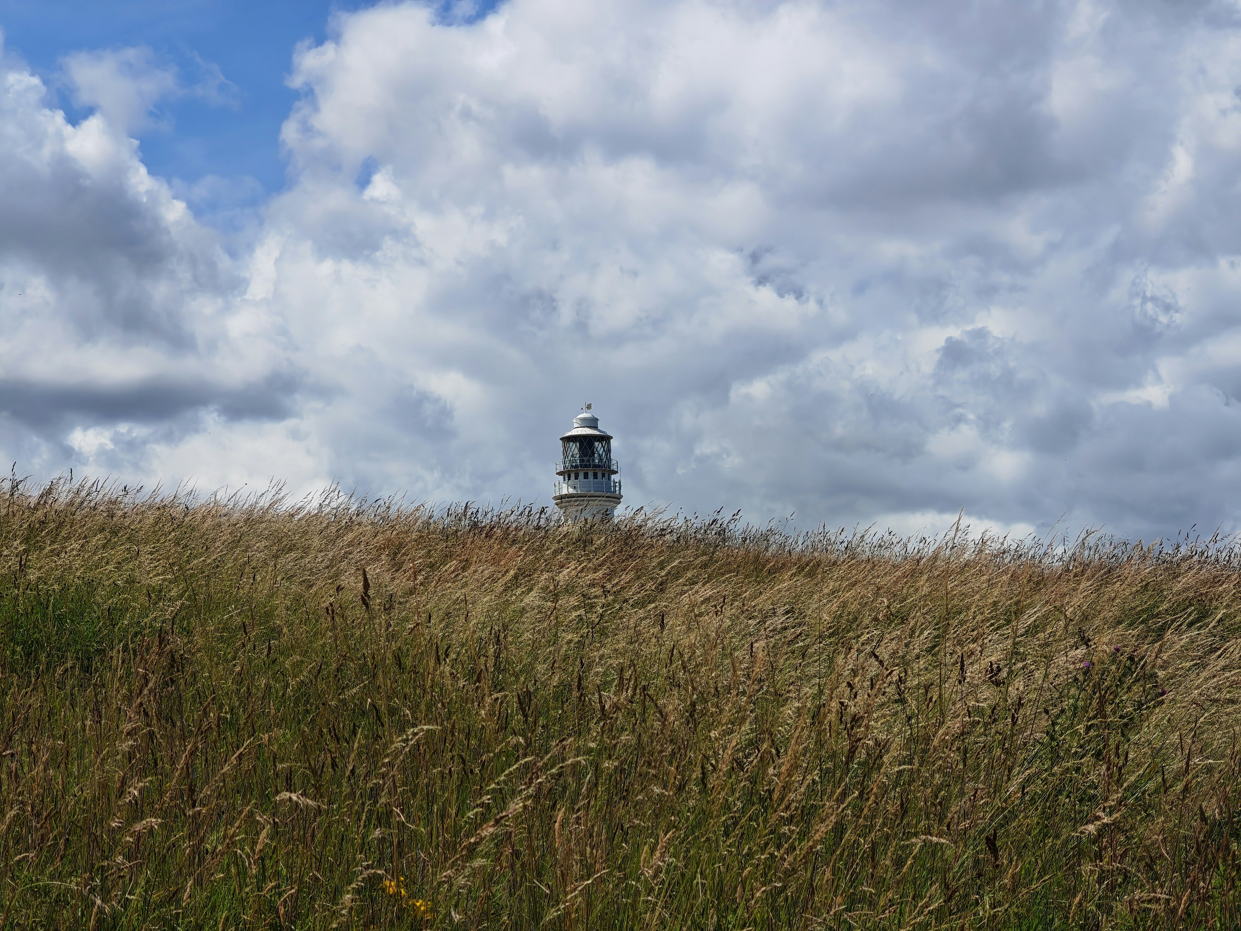 Photo by bizzyspace_images