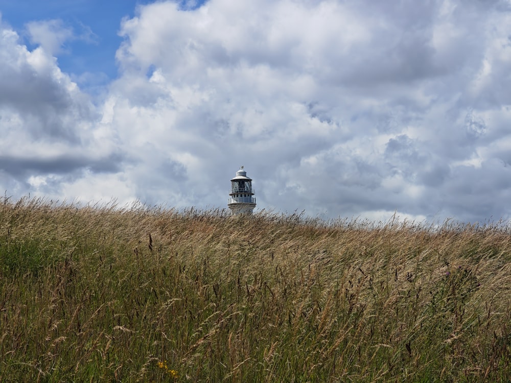 a lighthouse in the middle of a field of tall grass