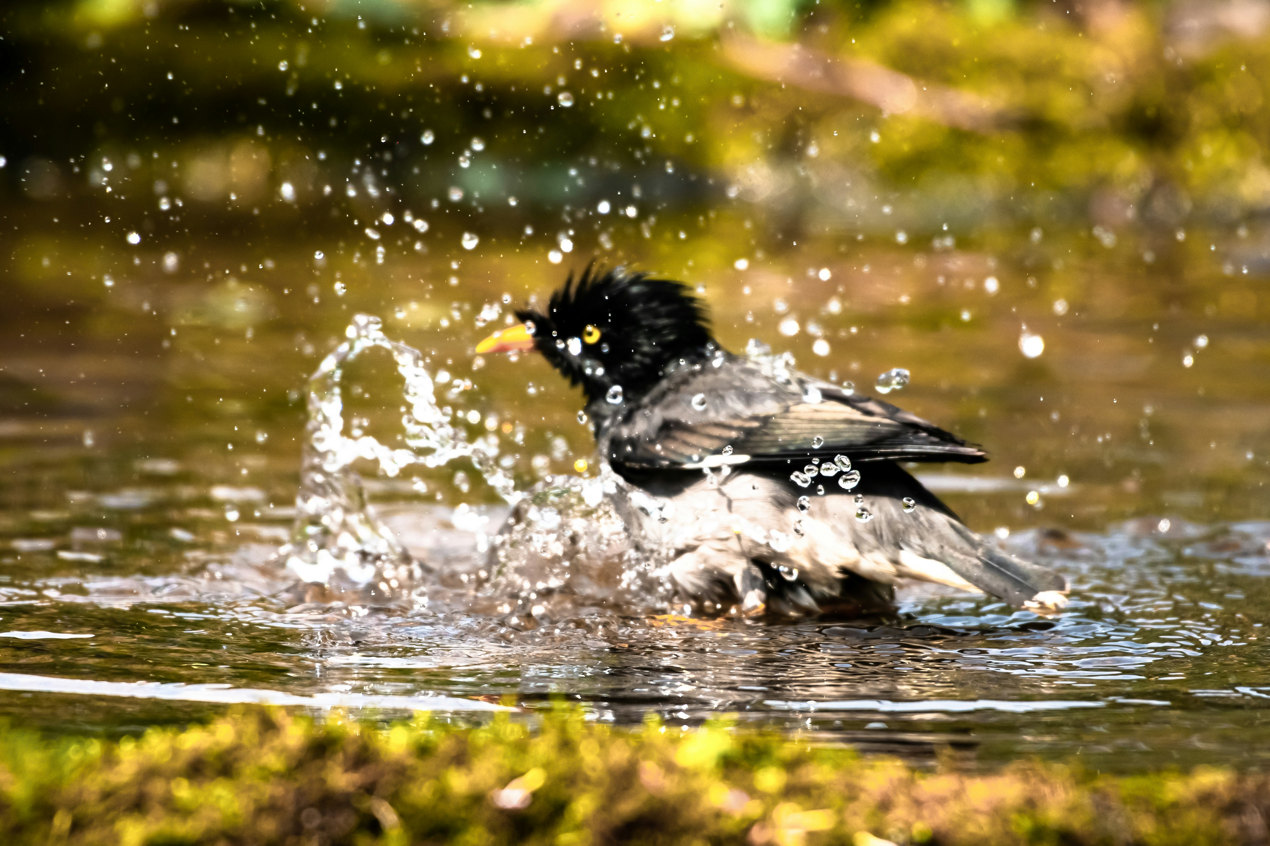 Photo by mhphotography13