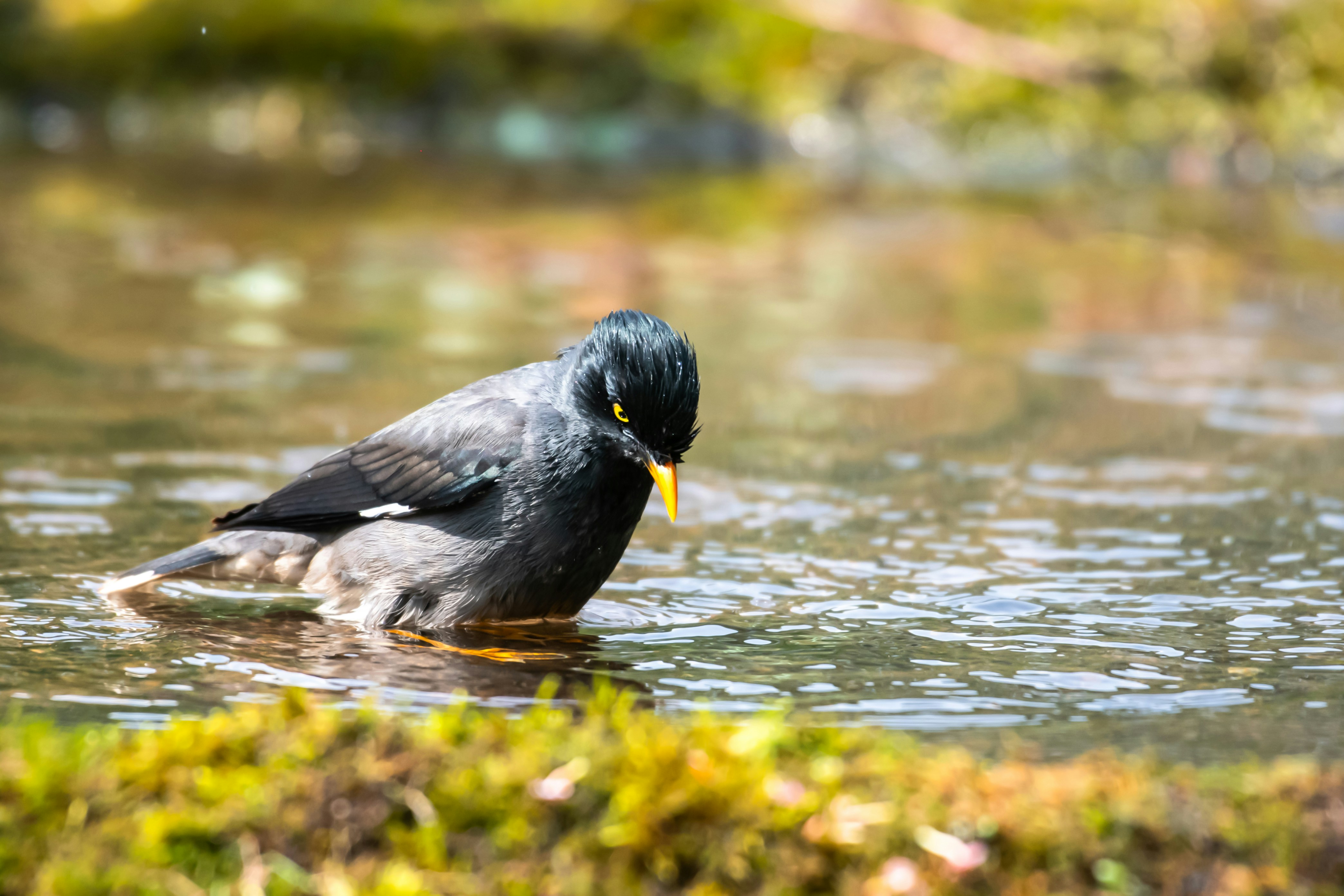 Photo by mhphotography13