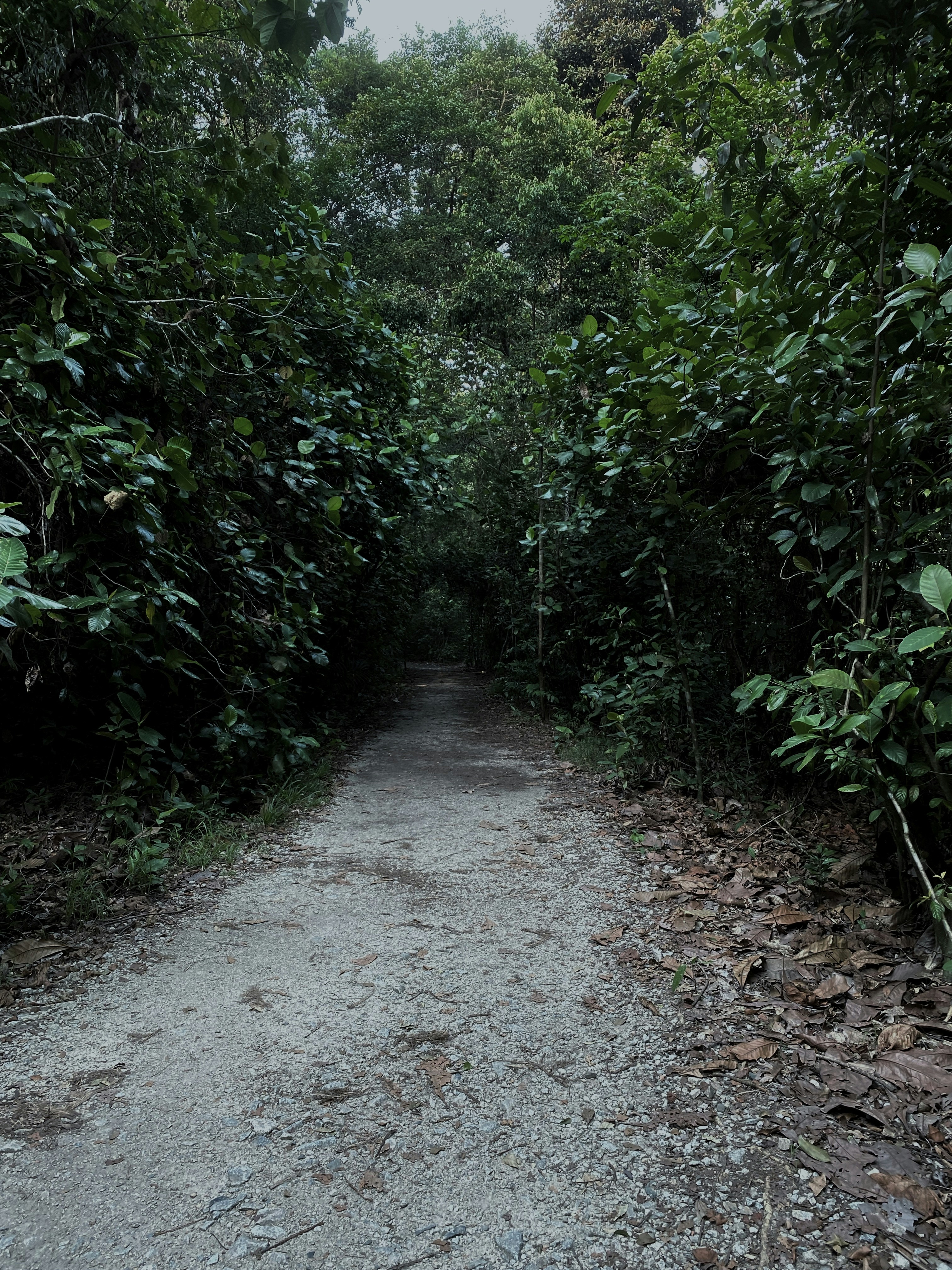 Photo by htookokoaung