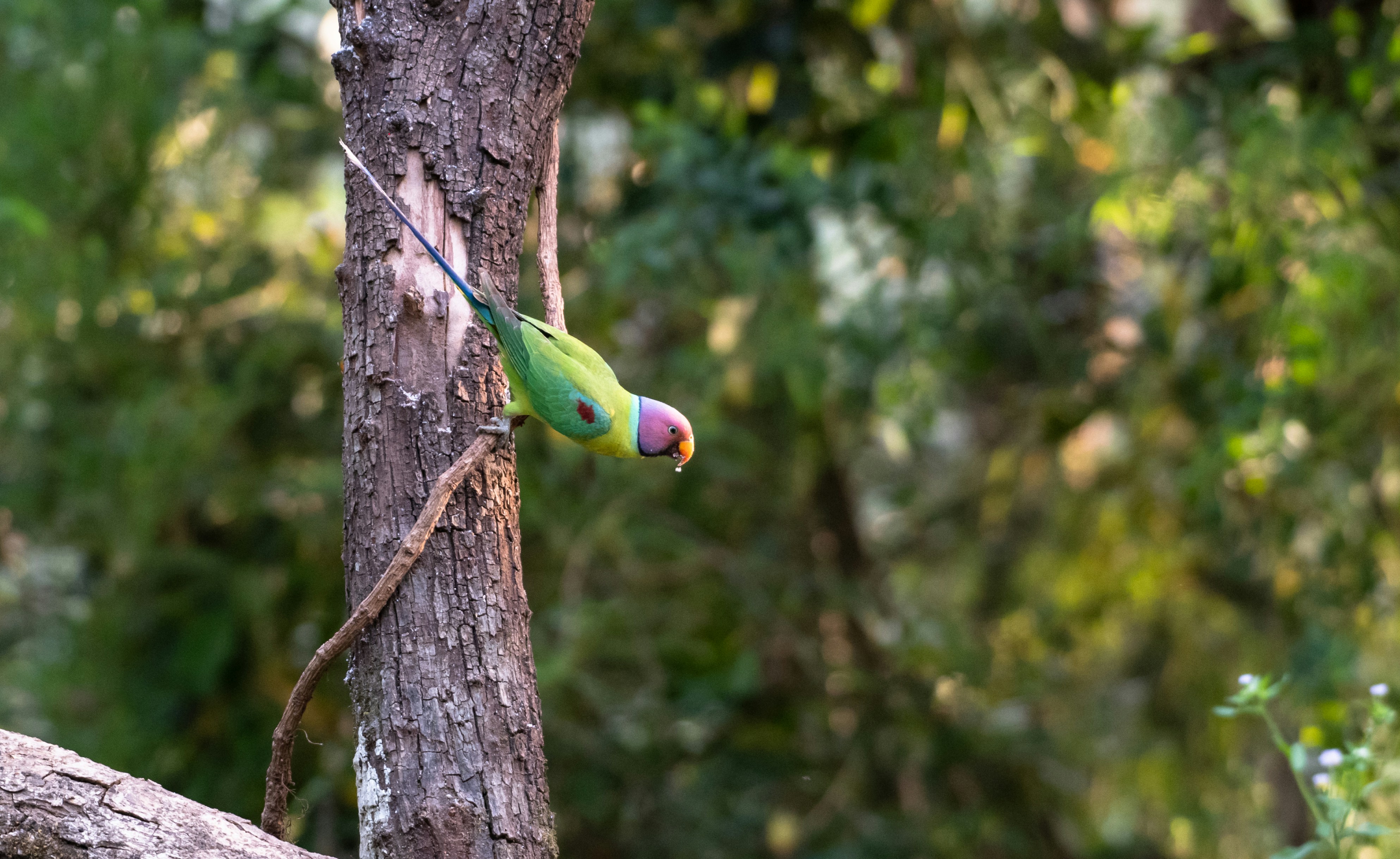 Photo by mhphotography13