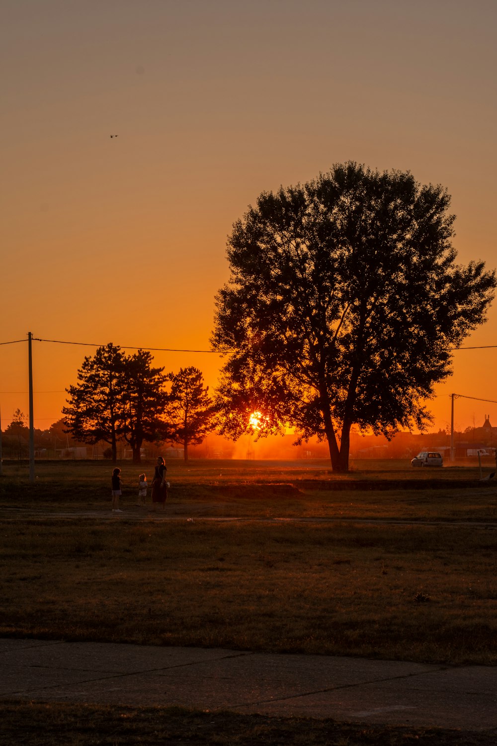 the sun is setting behind a tree in a field